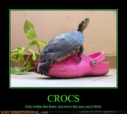 Turtles & Crocs Don't Mix