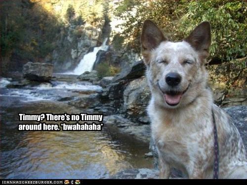 Timmy? There's no Timmy around here. *bwahahaha*