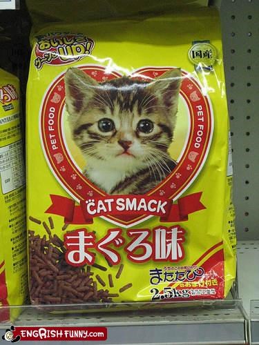 Catnip is just a gateway drug