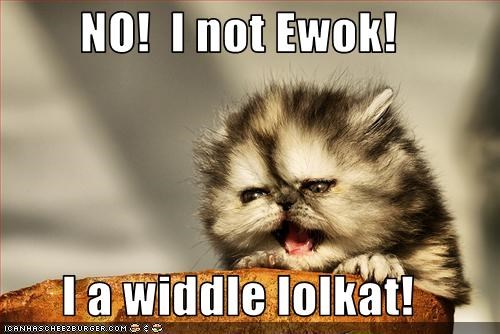 NO!  I not Ewok!  I a widdle lolkat!