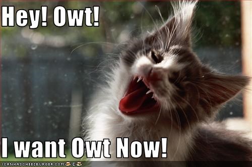 Hey! Owt!  I want Owt Now!