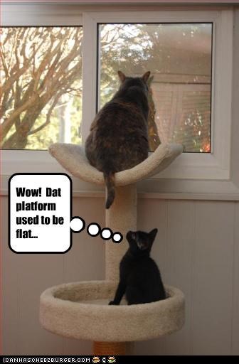 Wow!  Dat platform used to be flat...