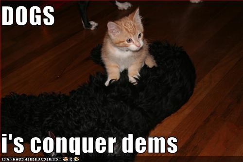 DOGS  i's conquer dems
