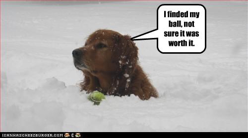 I finded my ball, not sure it was worth it.