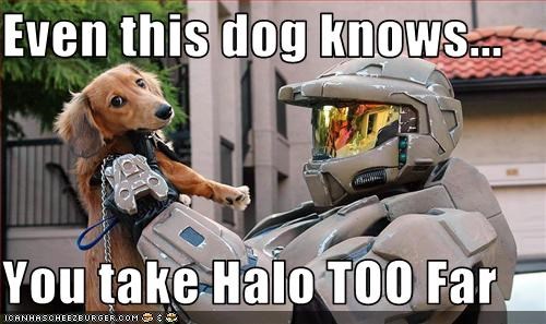Even this dog knows...  You take Halo TOO Far