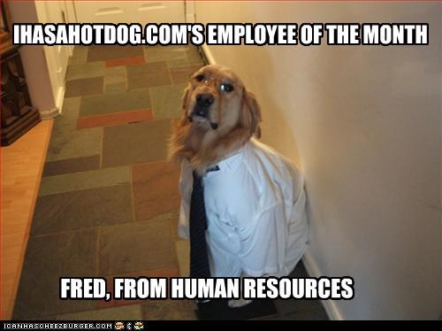 IHASAHOTDOG.COM'S EMPLOYEE OF THE MONTH