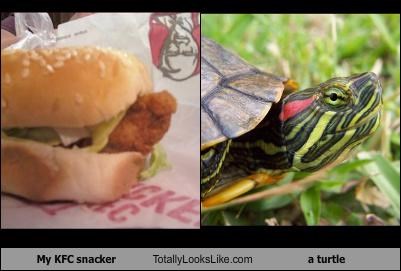 My KFC snacker Totally Looks Like a turtle