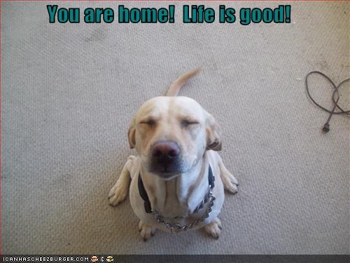 You are home!  Life is good!