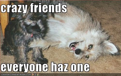 crazy friends  everyone haz one