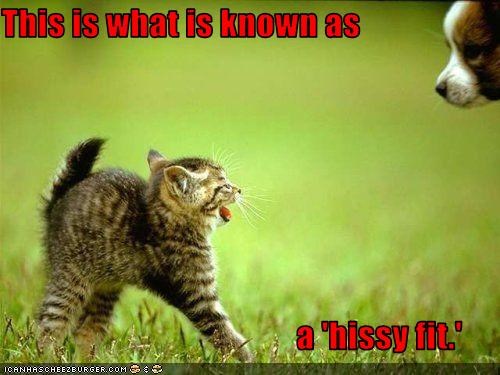 This is what is known as                                             a 'hissy fit.'