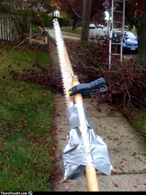 Take that, tree!