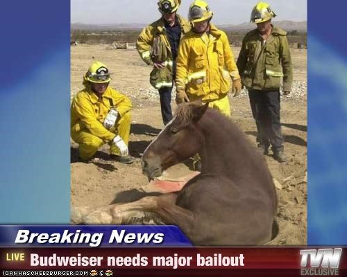 Breaking News - Budweiser needs major bailout