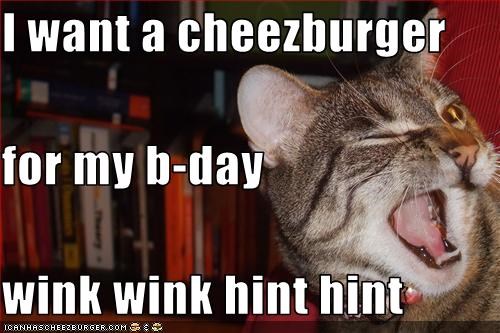 I want a cheezburger for my b-day wink wink hint hint