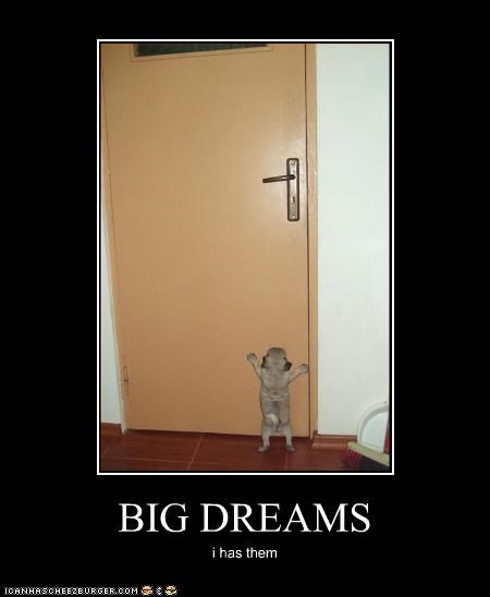 BIG DREAMS