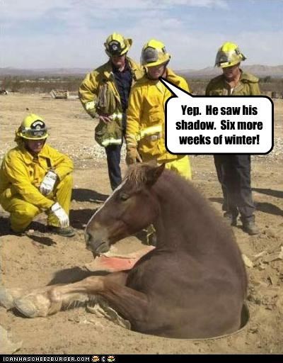 Yep.  He saw his shadow.  Six more weeks of winter!