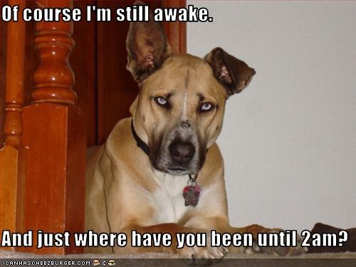 Of course I'm still awake.  And just where have you been until 2am?