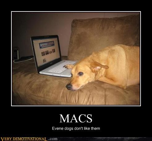 No Dog Wants a Mac Book