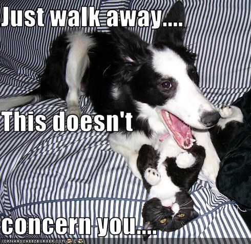 Just walk away.... This doesn't concern you....
