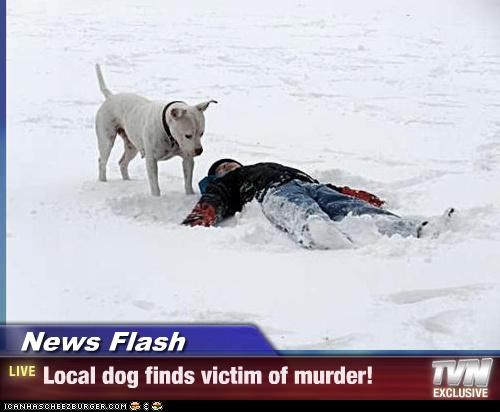 News Flash - Local dog finds victim of murder!