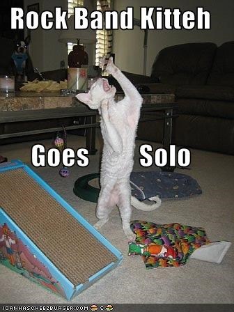 Rock Band Kitteh Goes         Solo