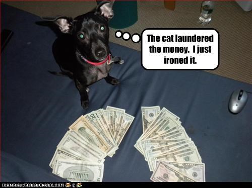 The cat laundered the money.  I just ironed it.