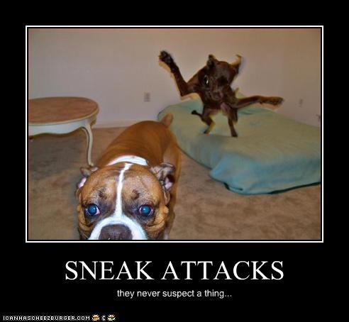 SNEAK ATTACKS