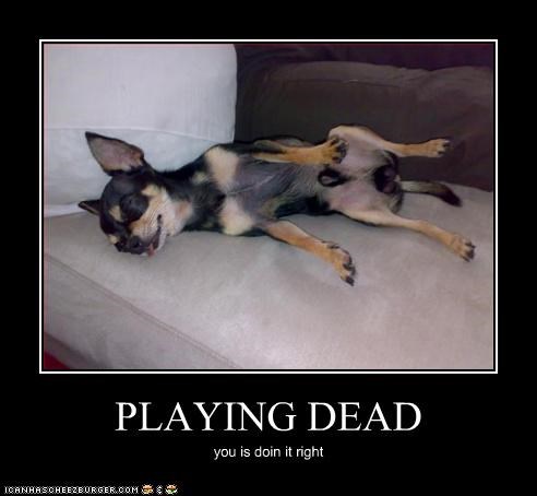 PLAYING DEAD