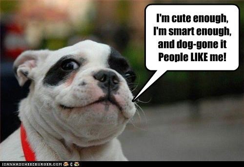 I'm cute enough, I'm smart enough,  and dog-gone it People LIKE me!