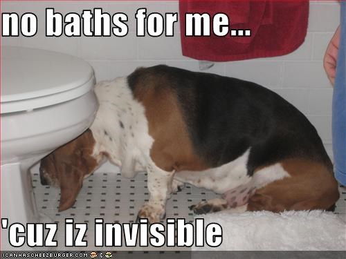 no baths for me...  'cuz iz invisible