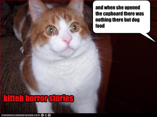 and when she opened the cupboard there was nothing there but dog food