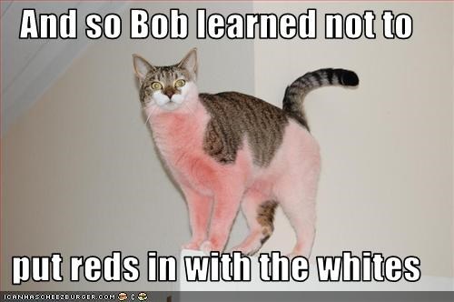 And so Bob learned not to  put reds in with the whites