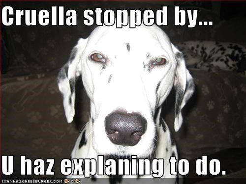 Cruella stopped by...  U haz explaning to do.