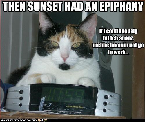 THEN SUNSET HAD AN EPIPHANY