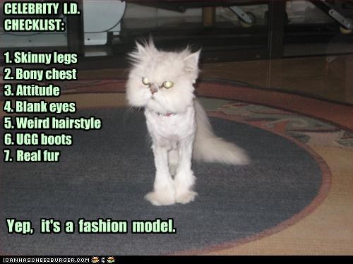 CELEBRITY  I.D. CHECKLIST:  1. Skinny legs 2. Bony chest 3. Attitude 4. Blank eyes 5. Weird hairstyle 6. UGG boots 7.  Real fur
