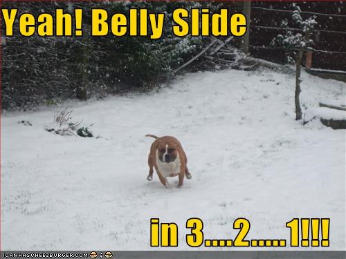 Yeah! Belly Slide  in 3....2.....1!!!