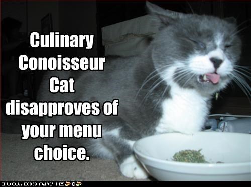 Culinary Conoisseur Cat disapproves of your menu choice.