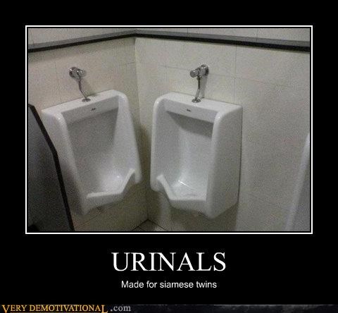 Seems Like a Niche Bathroom
