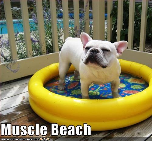 Muscle Beach