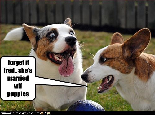 forget it fred.. she's married wif puppies