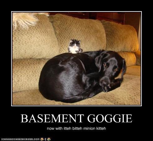 BASEMENT GOGGIE