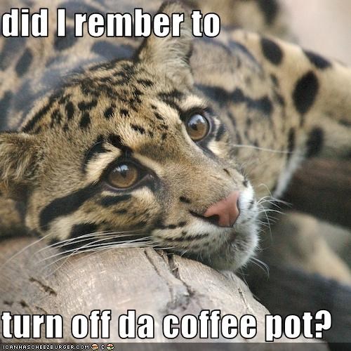 did I rember to   turn off da coffee pot?