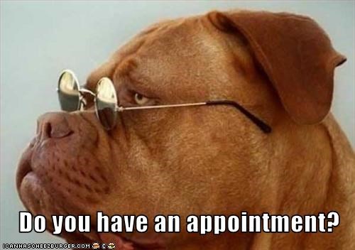 Do you have an appointment?