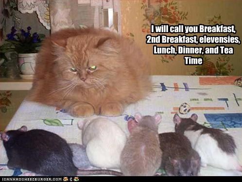 I will call you Breakfast, 2nd Breakfast, elevensies, Lunch, Dinner, and Tea Time