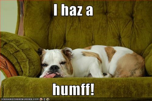 I haz a  humff!