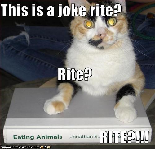 This is a joke rite? Rite? RITE?!!!