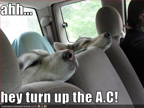 ahh...  hey turn up the A.C!