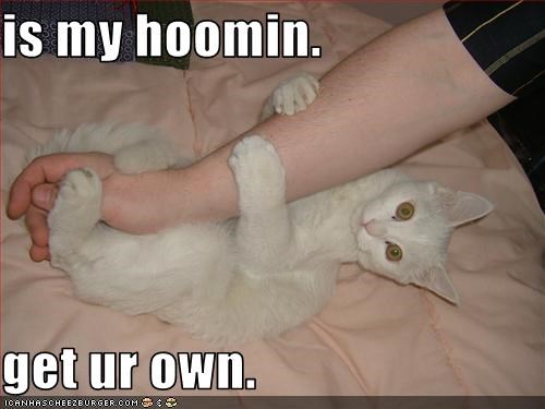 is my hoomin.  get ur own.