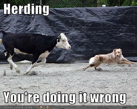 Herding   You're doing it wrong
