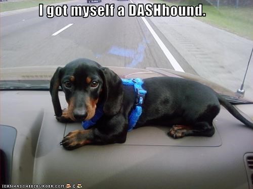 I got myself a DASHhound.