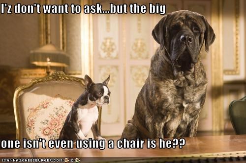 I'z don't want to ask...but the big  one isn't even using a chair is he??